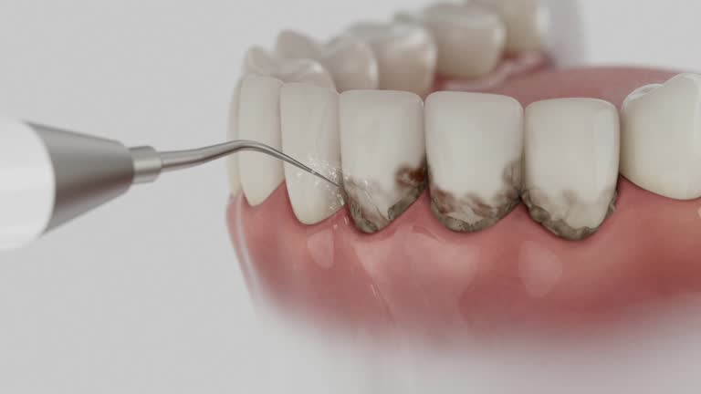 Reliable Dental contractor in New Brunswick, NJ by Dentist Open Now